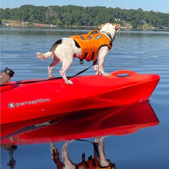 Ruffwear Dog Float Coat Life Jacket - Size XXS - Picture 11 of 14